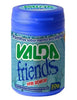 Valda Pastilha Pote Mentol Eucalipto 50G Com 6