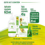 Tintura Garnier Nutrisse Creme Nº 10 Preto Ônix