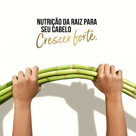 Condicionador Pantene Bambu Nutre e Cresce 250 Ml