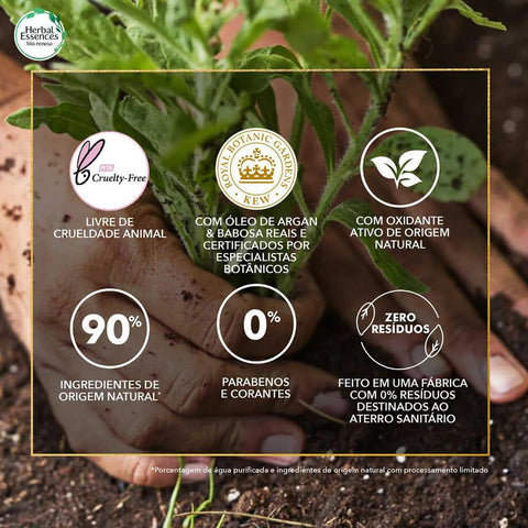 Shampoo Herbal Essences Bio Renew Argan Oil Of Marrocco 400ml