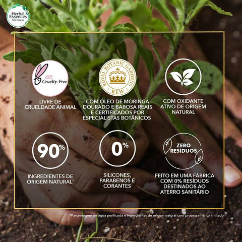 Shampoo Herbal Essences Bio Renew Óleo de Moringa Dourada 400ml