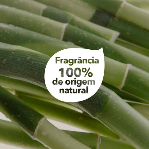 Condicionador Dove Poder Das Plantas Força + Bambu 300Ml