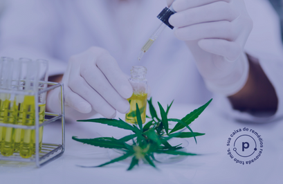 CBD para tratar ansiedade