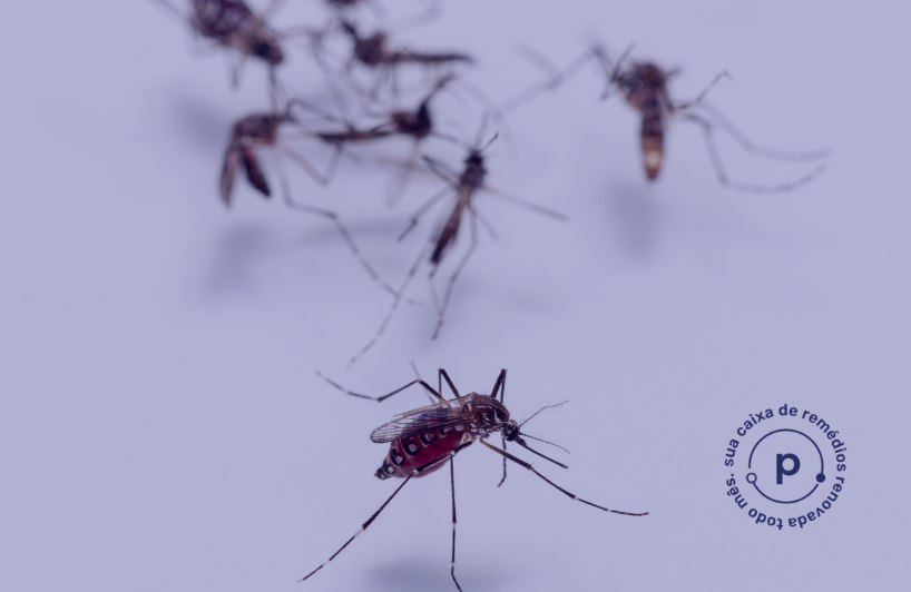 Como Diagnosticar a Dengue: Exames e Procedimentos