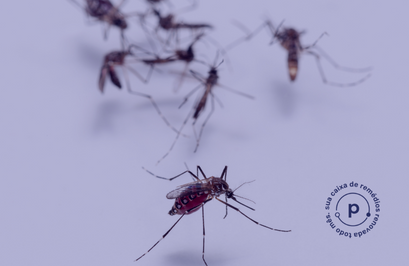 Como Diagnosticar a Dengue: Exames e Procedimentos