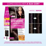 Tintura Casting 300 Castanho Escuro