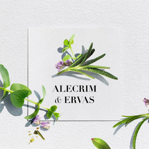 Condicionador Herbal Essences Bio: Renew Alecrim e Ervas 400ml