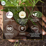 Shampoo Herbal Essences Bio Renew Argan Oil Of Marrocco 400ml