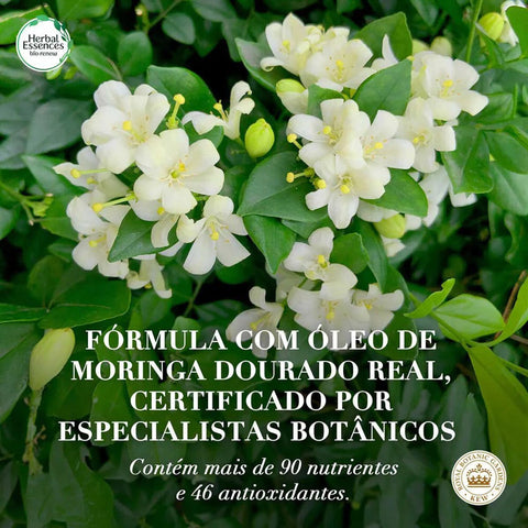 Shampoo Herbal Essences Bio Renew Óleo de Moringa Dourada 400ml