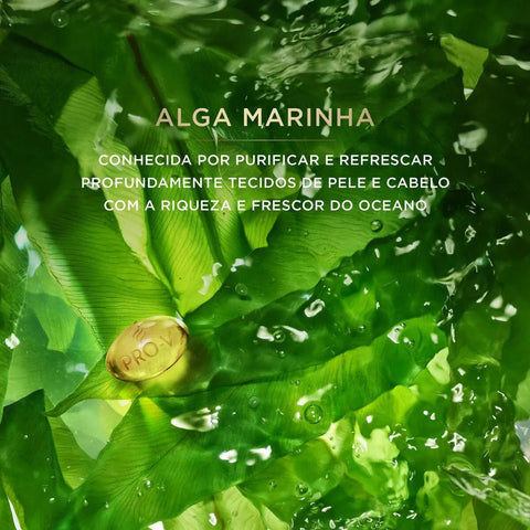 Shampoo Pantene Equilíbrio 510ml