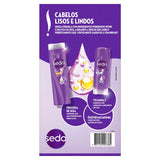 Kit Seda Liso Perfeito Shampoo 300mL+ Condicionador 190ml