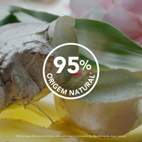 Shampoo Dove Poder Das Plantas Purificação 300Ml